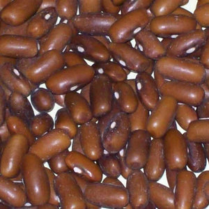 30+ Organic Burpee Stringless Garden Green Bean Seeds- Phaseolus Vulgaris -A084-Heirloom Variety--A084