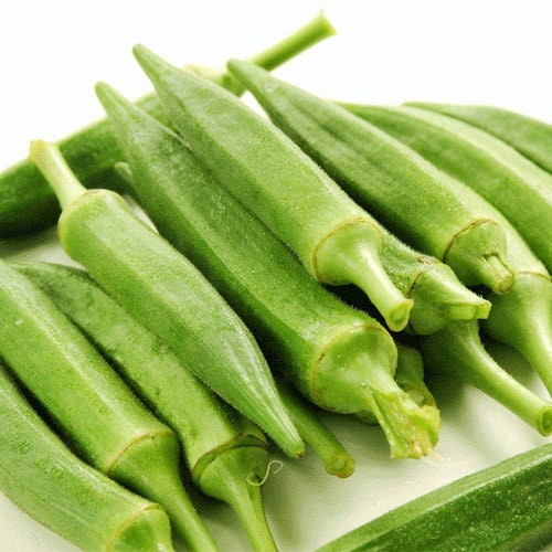 50+ Clemson Okra Seeds-  ORGANIC SPINELESS STRAIN-- Grow Easy-- Will Mature in less than 60 days- Abelmoschus Esculentus--A062