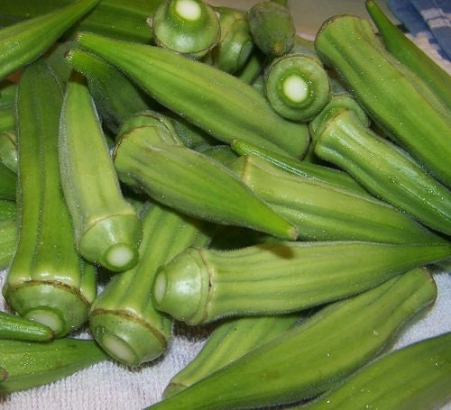 50+ Clemson Okra Seeds-  ORGANIC SPINELESS STRAIN-- Grow Easy-- Will Mature in less than 60 days- Abelmoschus Esculentus--A062