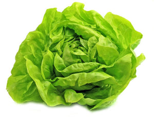 300+ Organic Buttercrunch Lettuce Seeds- Non GMO- Lactuca Sativa--A067