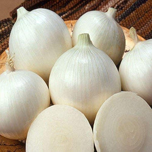 50+ Organic White Onion "Alibaba" Seeds -ALLIUM CEPA-----A056