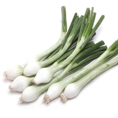 100+ High Quality Green Scallion Onion Seeds- Organic ( Non GMO)- ALLIUM CEPA----A076