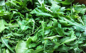 200+  Organic Arugula Herb Seeds- Eruca Sativa- Non GMO-Italian Cress-Rich, Tasty and  Peppery Vegetable--G040