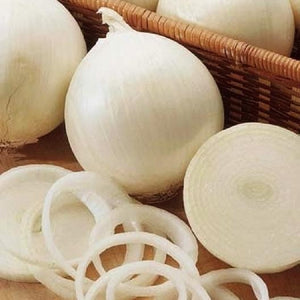 50+ Organic White Onion "Alibaba" Seeds -ALLIUM CEPA-----A056