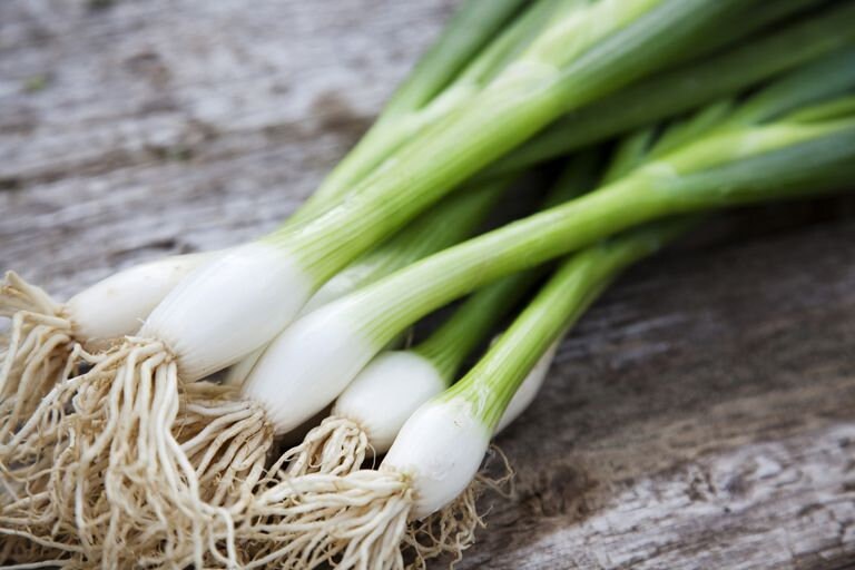 100+ High Quality Green Scallion Onion Seeds- Organic ( Non GMO)- ALLIUM CEPA----A076