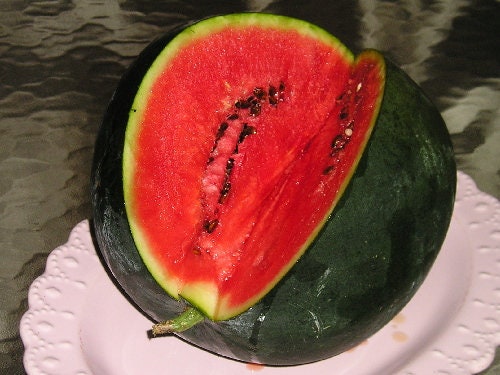 30+ Organic Watermelon Sugar Baby Seeds- Incredibly Sweet and Rich Non GMO Heirloom- CITRULLUS LANATUS----A085