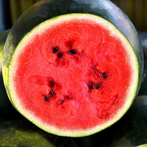 30+ Organic Watermelon Sugar Baby Seeds- Incredibly Sweet and Rich Non GMO Heirloom- CITRULLUS LANATUS----A085