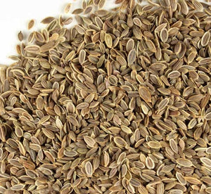 500+ Organic Long Island Mammoth Dill Seeds- Heirloom Variety- Non GMO- Seeds- ANATHUM GRAVEOLENS----G068