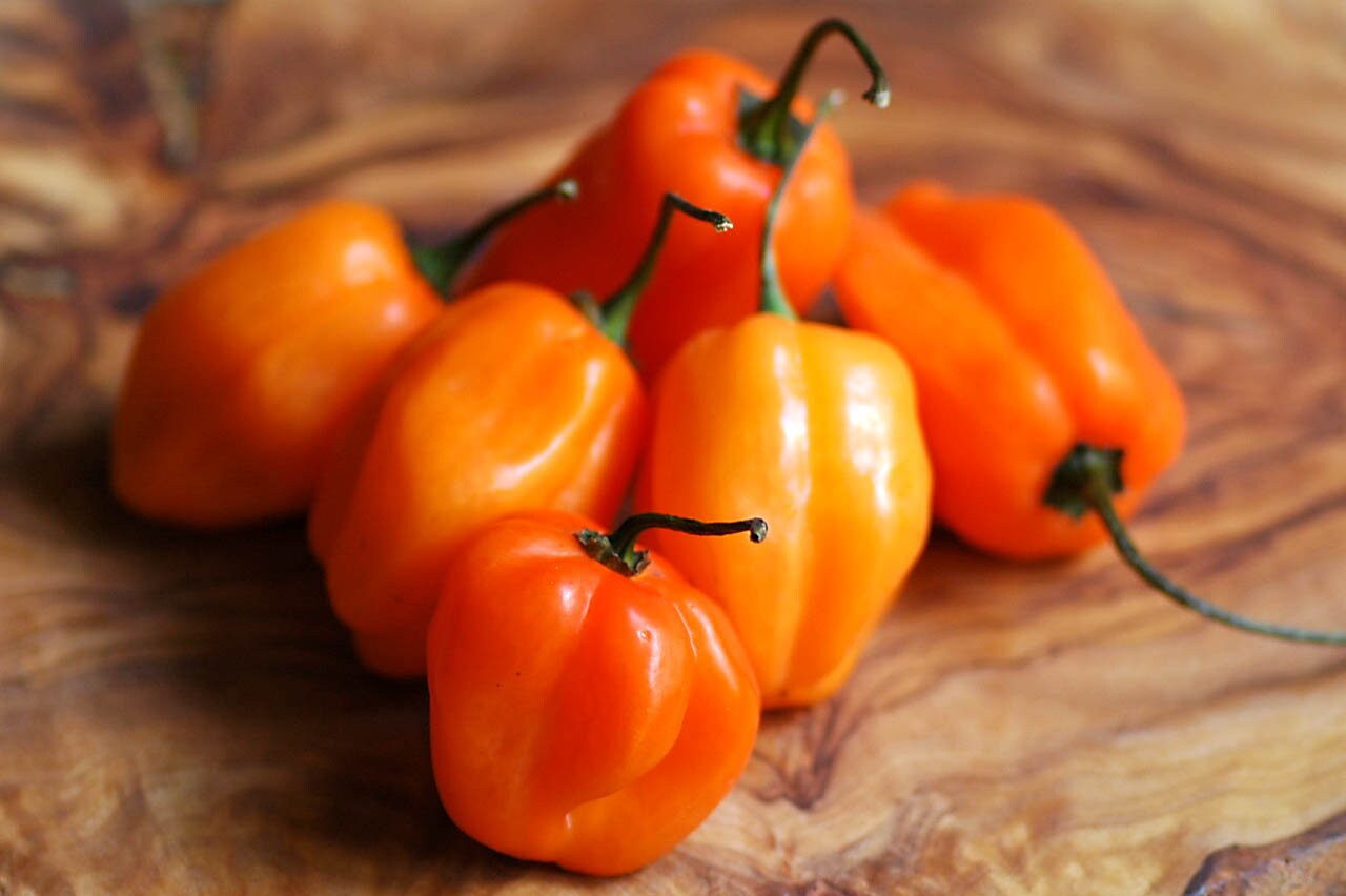 30+ Habanero Hot Pepper Seeds-CAPSICUM CHINENSE-A065