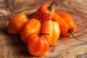 30+ Habanero Hot Pepper Seeds-CAPSICUM CHINENSE-A065