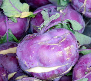 200+ Organic Early Vienna Purple Kohl Rabi Seeds - Non GMO-German turnip -Turnip cabbage-A164