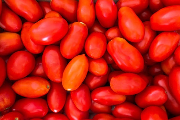 25+ Organic San Marzano Tomato Seeds -Non GMO-Sweet and delicious-Solanum Lycopersicum-A166