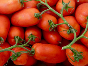 25+ Organic San Marzano Tomato Seeds -Non GMO-Sweet and delicious-Solanum Lycopersicum-A166