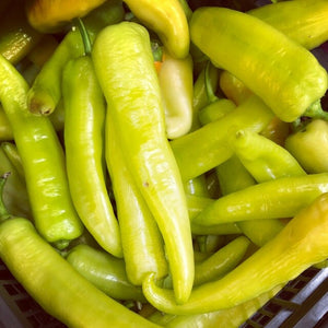 50+ Organic Hungarian Yellow Hot Wax Pepper Seeds-  Non GMO--CAPSICUM ANNUUM---A103-Spicy Hot!