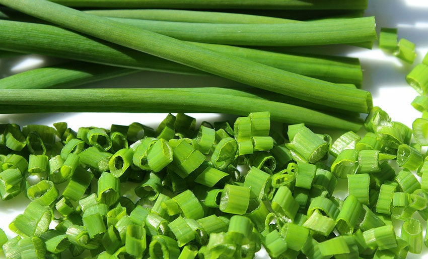 100+ Chives Herb Seeds-Allium Schoenoprasum-G073-Great for salad dressing