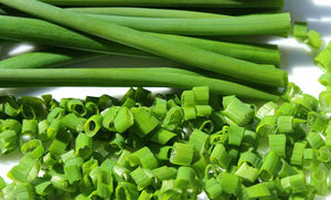 100+ Chives Herb Seeds-Allium Schoenoprasum-G073-Great for salad dressing