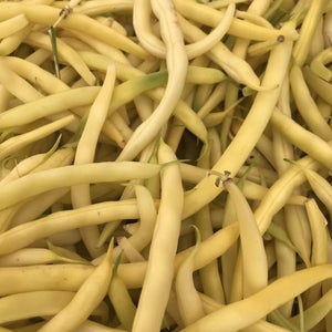 50+ Gold Rush Yellow Wax Bean Seeds-A123-PHASEOLUS VULGARIS-High in Vitamins/Nutrients-Non GMO-Open Pollinated-Matures in less than 60 days!