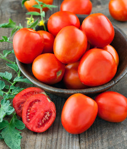 50+ Seeds-Organic Roma Tomato -Non GMO- SOLANUM LYCOPERSICUM-A025