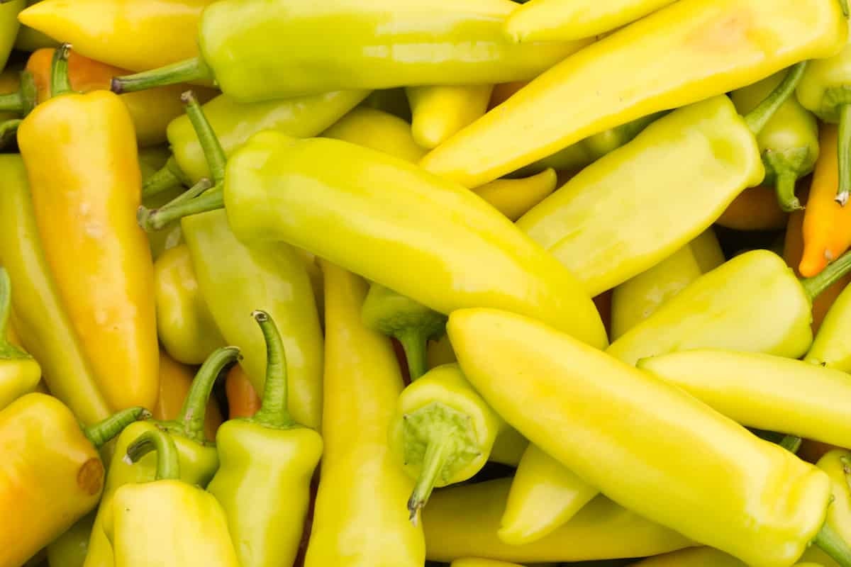 50+ Organic Hungarian Yellow Hot Wax Pepper Seeds-  Non GMO--CAPSICUM ANNUUM---A103-Spicy Hot!