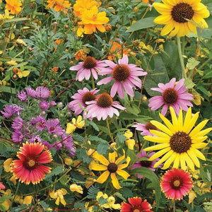 200+ Bird and Butterfly Seed Mixture-B644