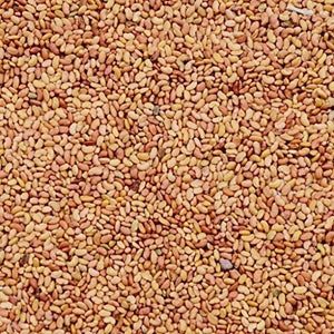 2000+ Alfalfa Seeds Organic-G074-Perennial